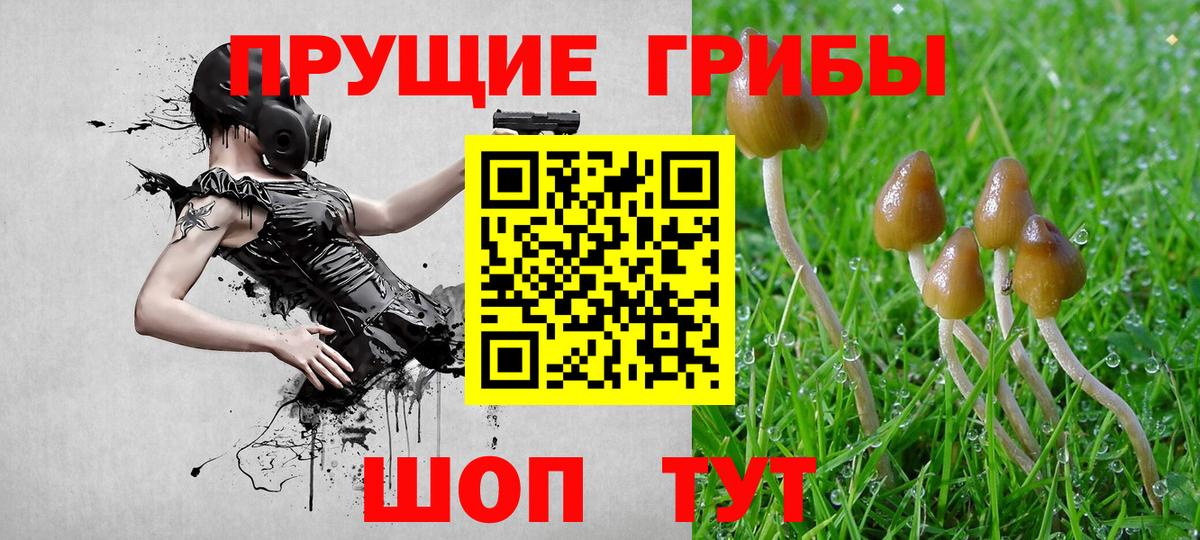 Псилоцибиновые грибы мухоморы  Вход с VPN  Заводоуковск  Галлюциногенные грибы MAGIC MUSHROOMS 
